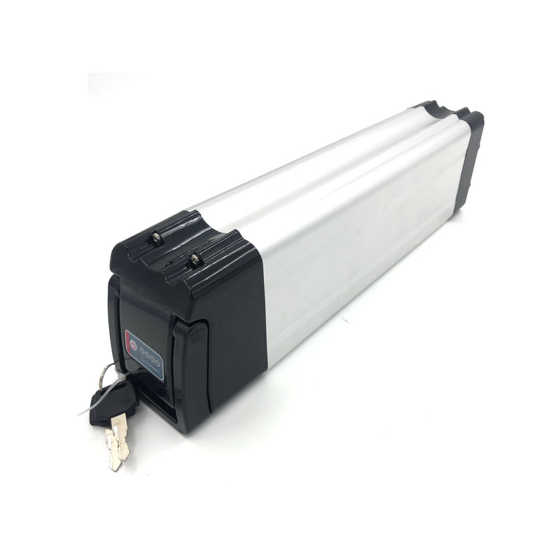 Slicer Fish tipo 36v 8ah batteria agli ioni di litio con personalizzato