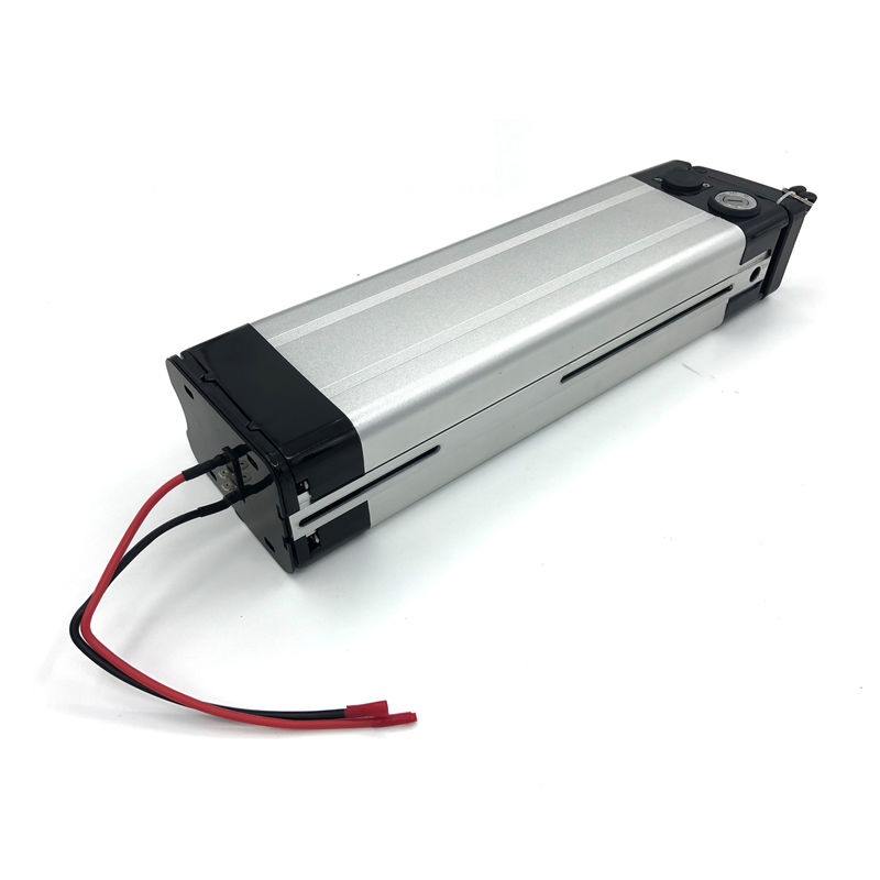 Slicer Fish tipo 36v 8ah batteria agli ioni di litio con personalizzato