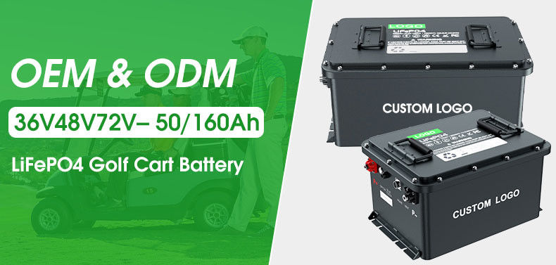 IP67 batteria al litio ferro fosfato carrello da golf Lifepo4 batteria agli ioni di litio 51.2v ciclo profondo